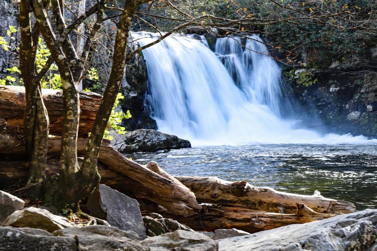 Appartamento Lazy Days Retreat Whispering Pines 224 Pigeon Forge Esterno foto